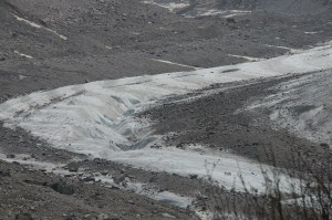 Close up shot of the glacier much further receding than I would have expected.