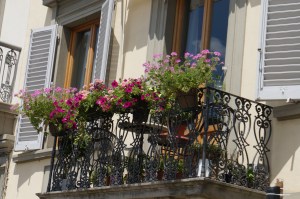 Colourful window boxes adorn the apartments around the city. Signs of spring 